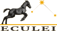 ECULEI Logo